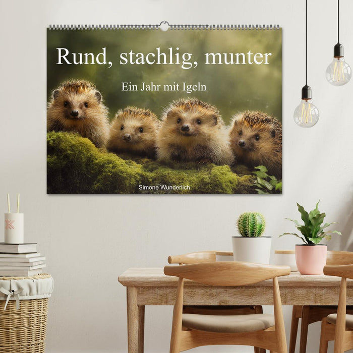 Rund, stachlig, munter - Ein Jahr mit Igeln (CALVENDO Wandkalender 2026)