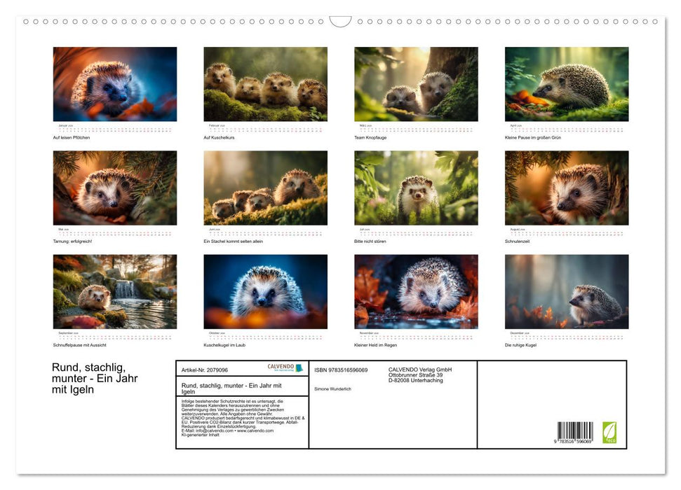 Rund, stachlig, munter - Ein Jahr mit Igeln (CALVENDO Wandkalender 2026)