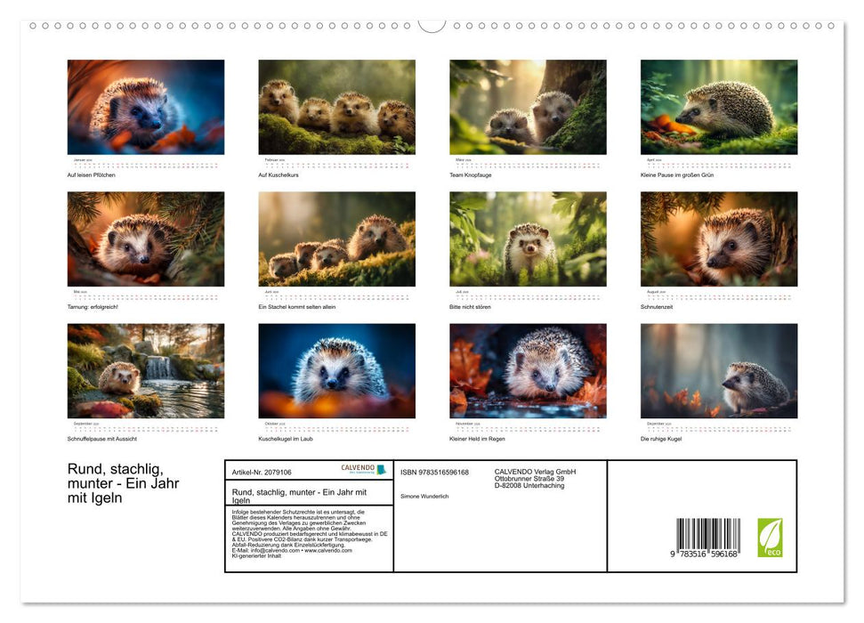 Rund, stachlig, munter - Ein Jahr mit Igeln (CALVENDO Premium Wandkalender 2026)
