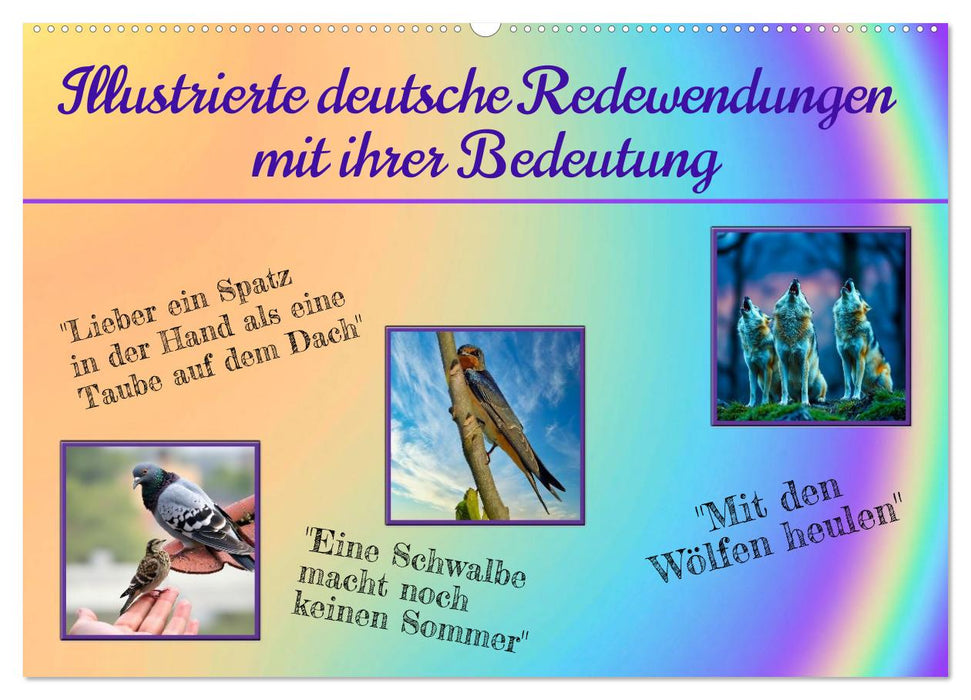 Illustrierte deutsche Redewendungen mit ihrer Bedeutung (CALVENDO Wandkalender 2026)