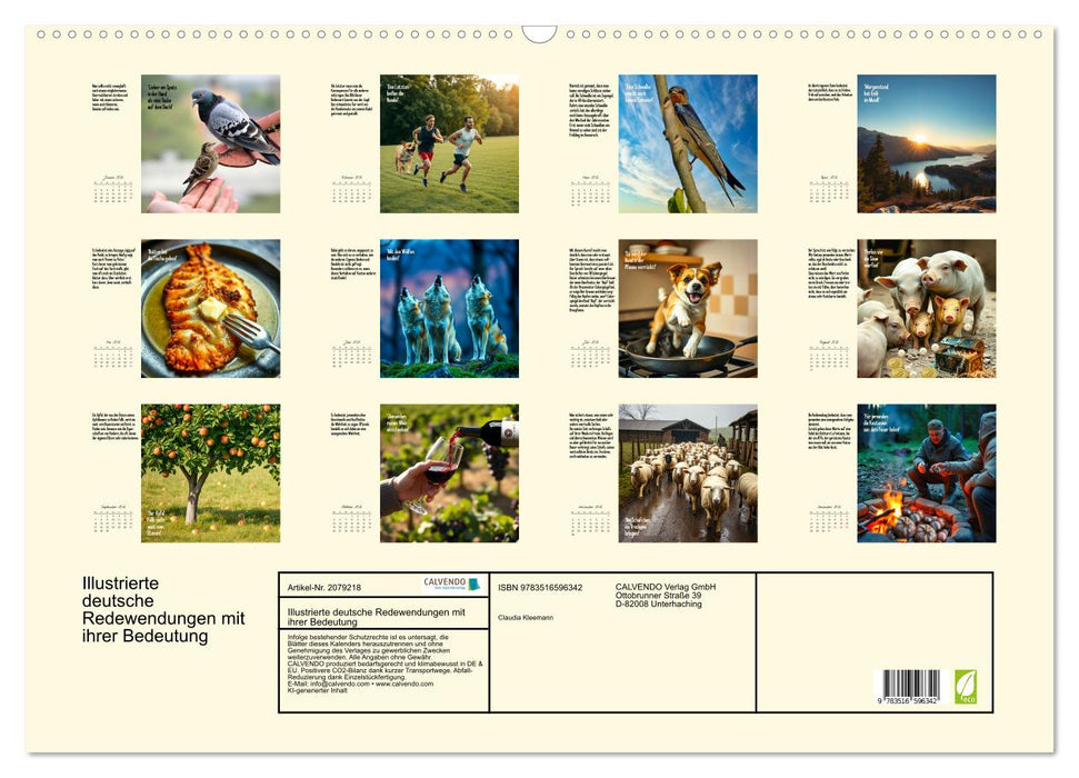 Illustrierte deutsche Redewendungen mit ihrer Bedeutung (CALVENDO Wandkalender 2026)