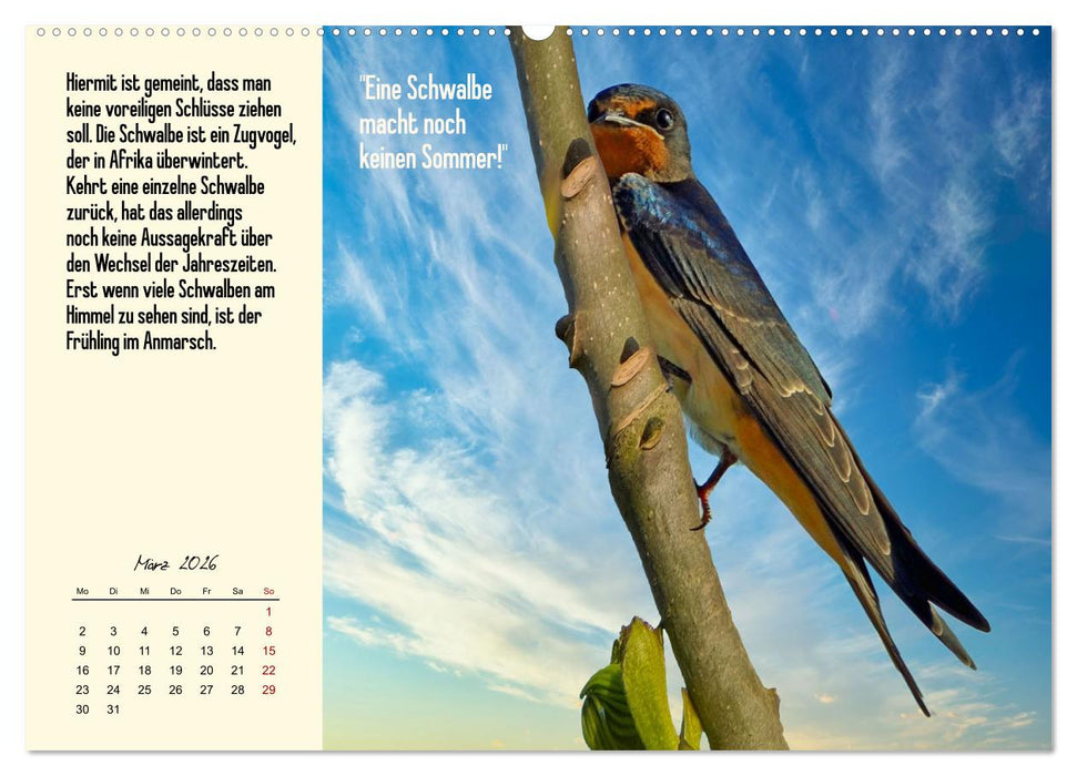 Illustrierte deutsche Redewendungen mit ihrer Bedeutung (CALVENDO Wandkalender 2026)