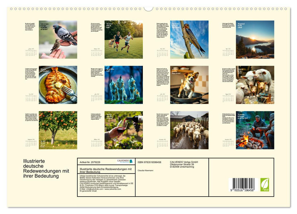 Illustrierte deutsche Redewendungen mit ihrer Bedeutung (CALVENDO Premium Wandkalender 2026)