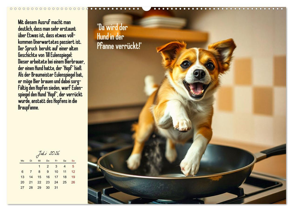 Illustrierte deutsche Redewendungen mit ihrer Bedeutung (CALVENDO Premium Wandkalender 2026)