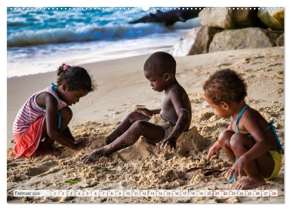 Inseln, Licht und Meer - die Seychellen (CALVENDO Premium Wandkalender 2026)