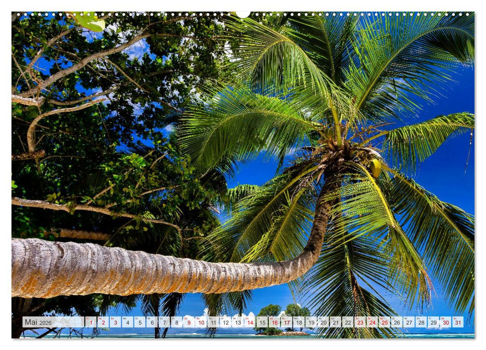 Inseln, Licht und Meer - die Seychellen (CALVENDO Premium Wandkalender 2026)