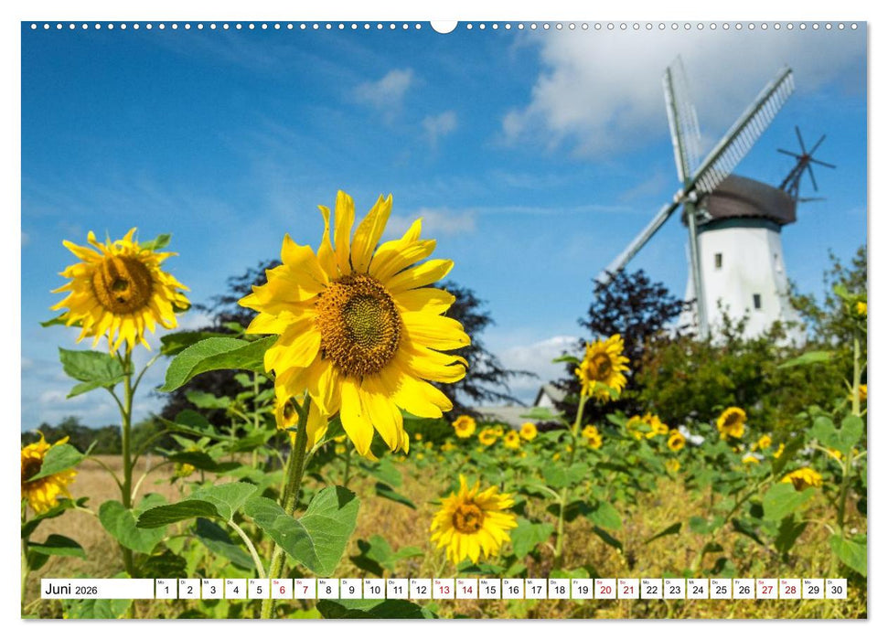 Flensburger Förde: Eine Reise durch Deutschlands hohen Norden (CALVENDO Wandkalender 2026)
