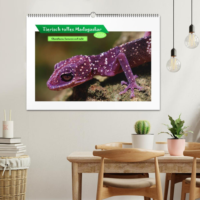 Tierisch tolles Madagaskar - Chamäleons, Lemuren und mehr (CALVENDO Wandkalender 2026)