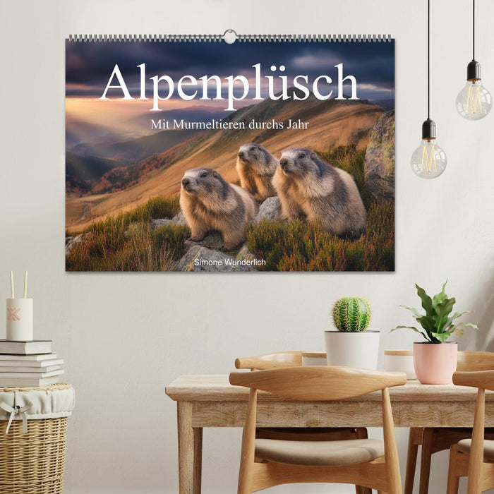 Alpenplüsch - Mit Murmeltieren durchs Jahr (CALVENDO Wandkalender 2026)