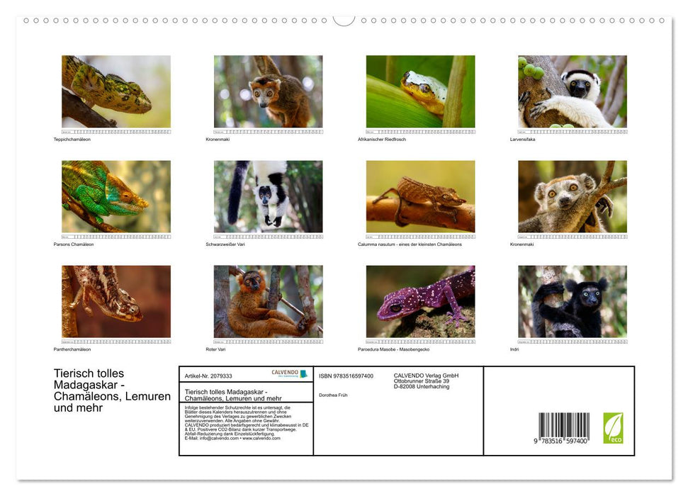 Tierisch tolles Madagaskar - Chamäleons, Lemuren und mehr (CALVENDO Premium Wandkalender 2026)