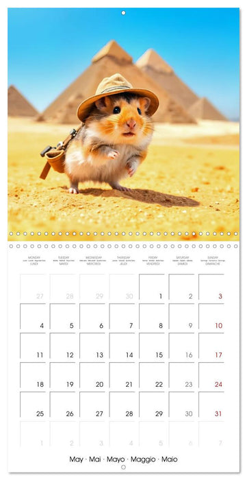 Whiskertrip -Travelling the world with a hamster (CALVENDO Monthly Calendar 2026)