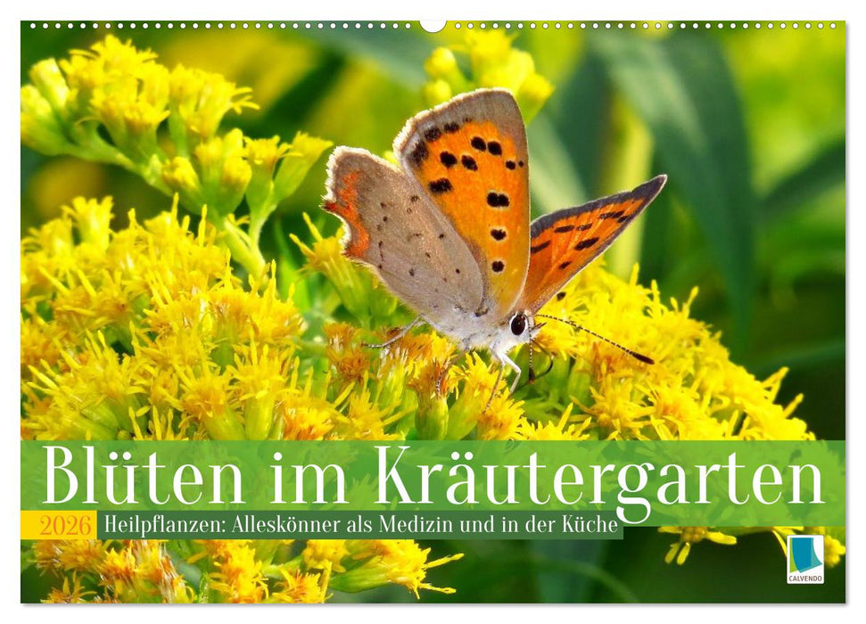 Blüten im Kräutergarten (CALVENDO Wandkalender 2026)