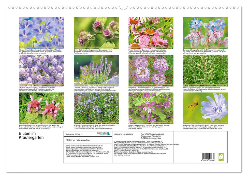 Blüten im Kräutergarten (CALVENDO Wandkalender 2026)