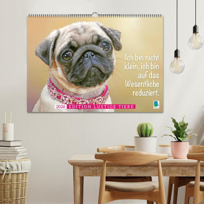 Der Mops: Nicht klein, sondern aufs Wesentliche reduziert. (CALVENDO Wandkalender 2026)