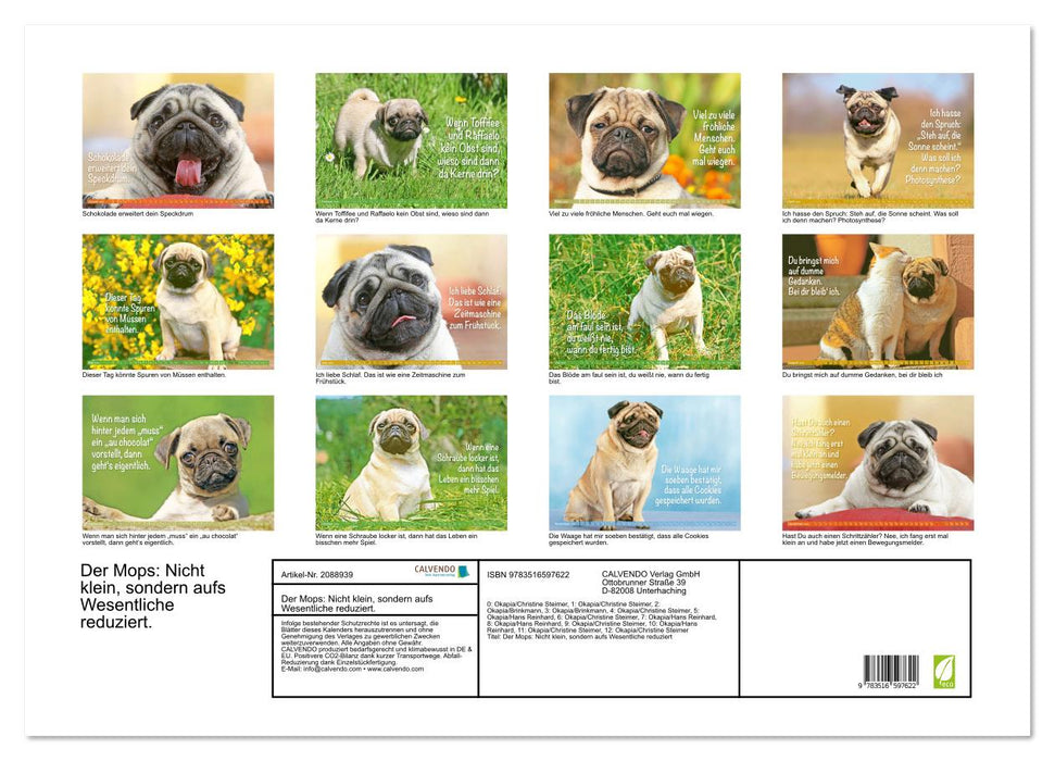 Der Mops: Nicht klein, sondern aufs Wesentliche reduziert. (CALVENDO Wandkalender 2026)