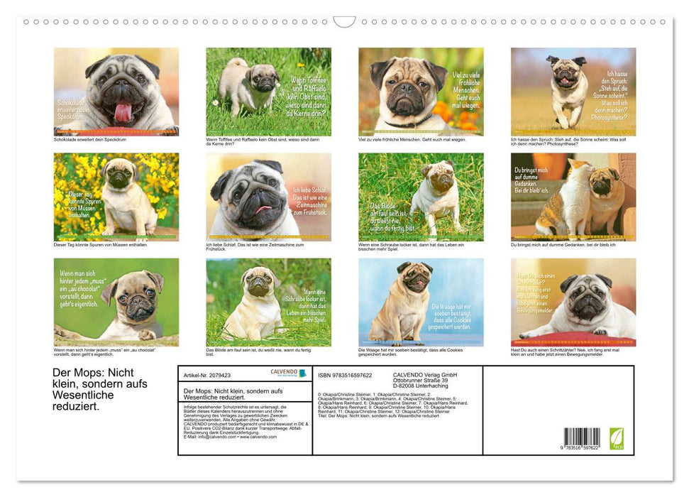 Der Mops: Nicht klein, sondern aufs Wesentliche reduziert. (CALVENDO Wandkalender 2026)