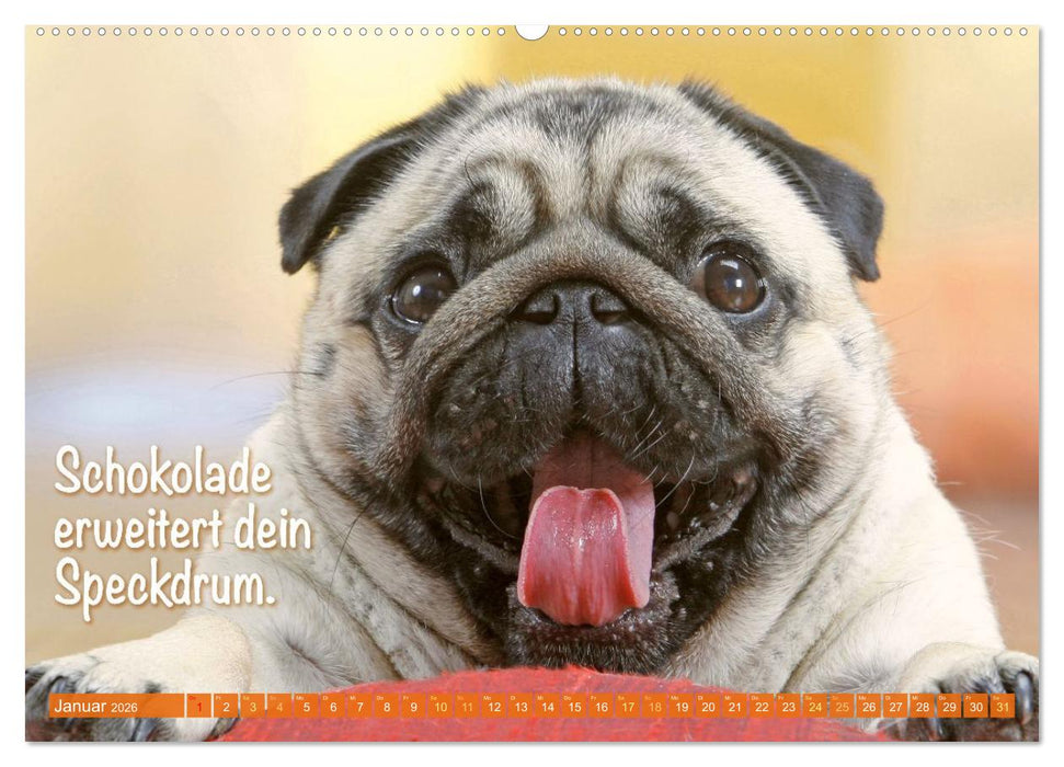 Der Mops: Nicht klein, sondern aufs Wesentliche reduziert. (CALVENDO Wandkalender 2026)