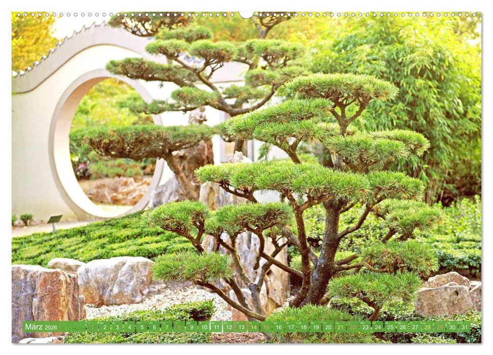 Meditationen im Zen-Garten (CALVENDO Premium Wandkalender 2026)