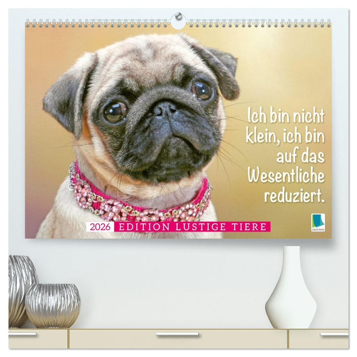 Der Mops: Nicht klein, sondern aufs Wesentliche reduziert. (CALVENDO Premium Wandkalender 2026)