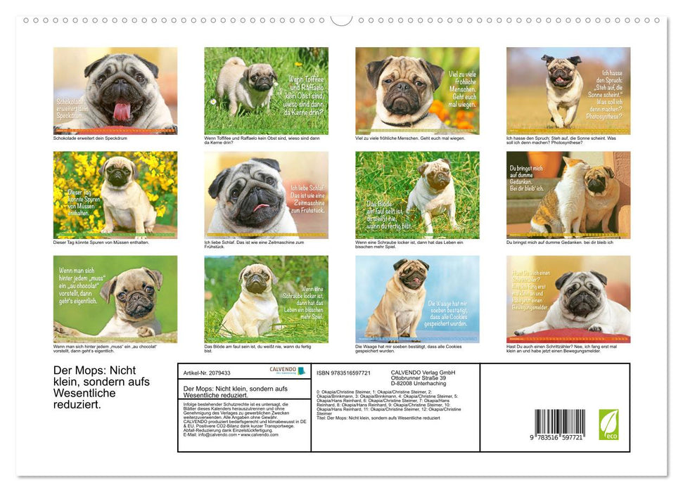 Der Mops: Nicht klein, sondern aufs Wesentliche reduziert. (CALVENDO Premium Wandkalender 2026)