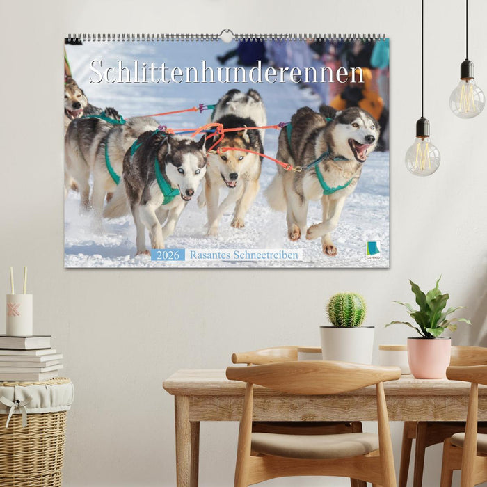 Schlittenhunderennen: Rasantes Schneetreiben (CALVENDO Wandkalender 2026)