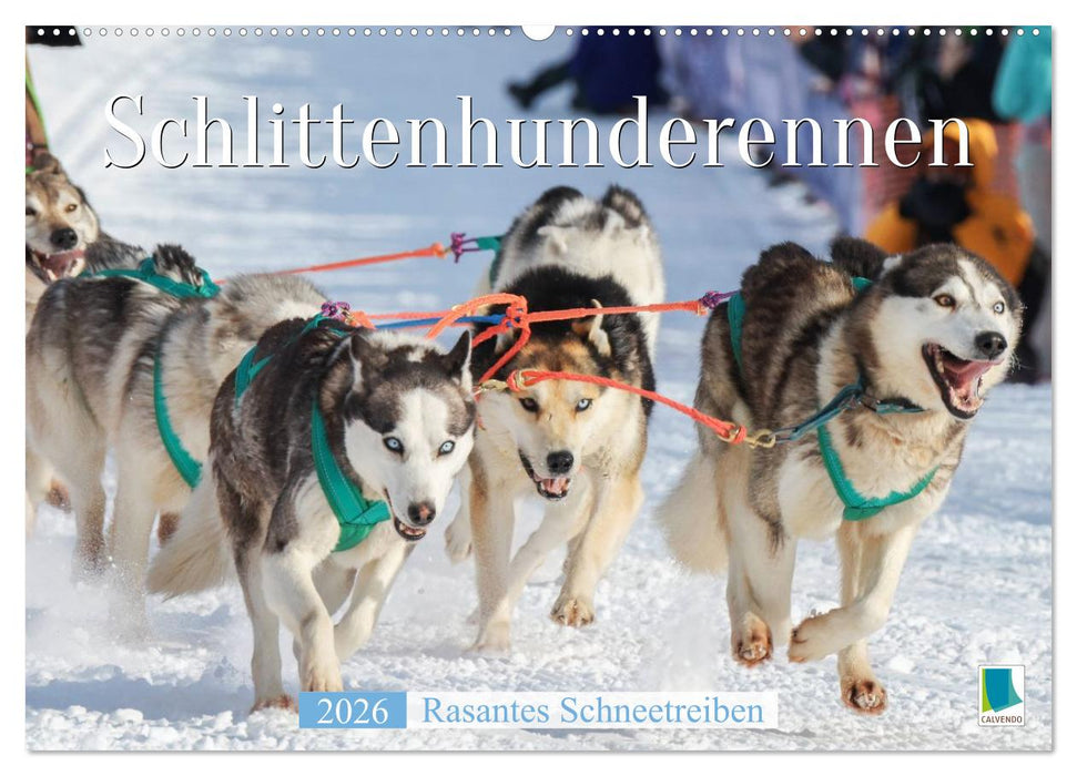 Schlittenhunderennen: Rasantes Schneetreiben (CALVENDO Wandkalender 2026)