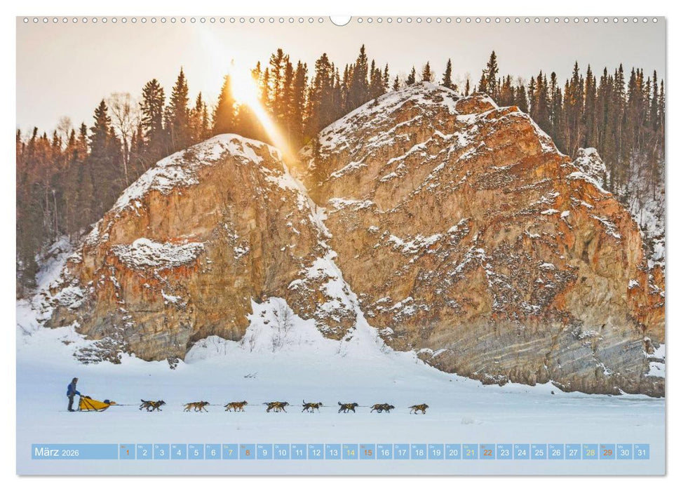Schlittenhunderennen: Rasantes Schneetreiben (CALVENDO Wandkalender 2026)