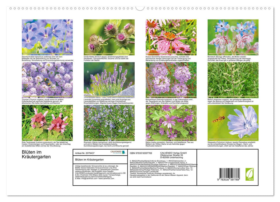 Blüten im Kräutergarten (CALVENDO Premium Wandkalender 2026)