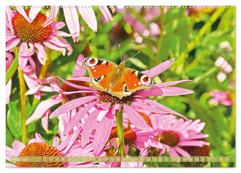 Blüten im Kräutergarten (CALVENDO Premium Wandkalender 2026)