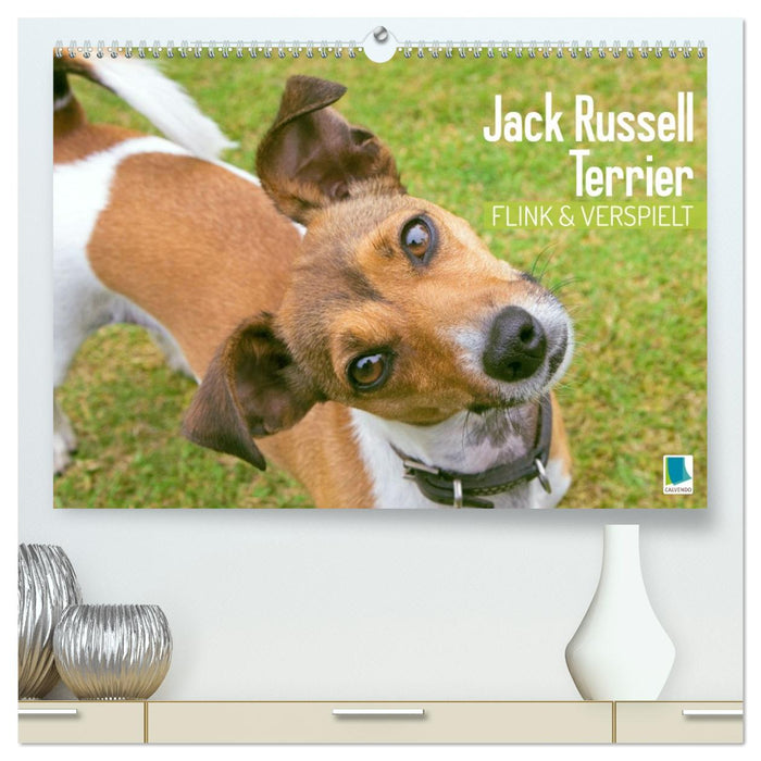 Jack Russell Terrier: flink und verspielt (CALVENDO Premium Wandkalender 2026)