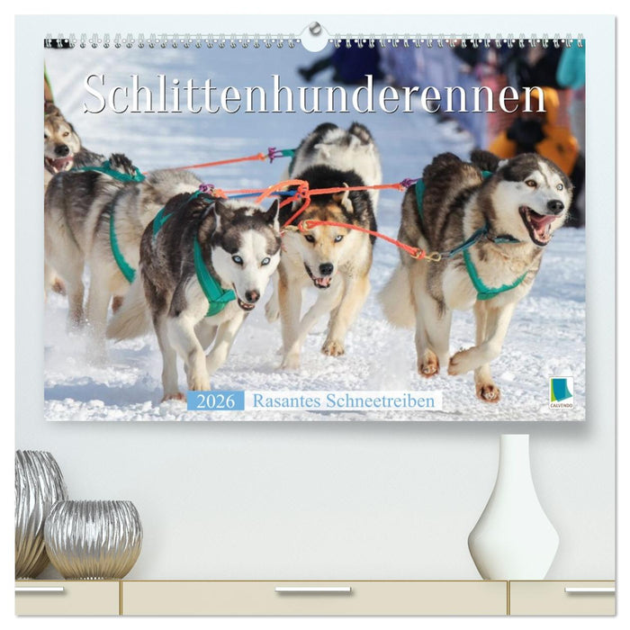 Schlittenhunderennen: Rasantes Schneetreiben (CALVENDO Premium Wandkalender 2026)