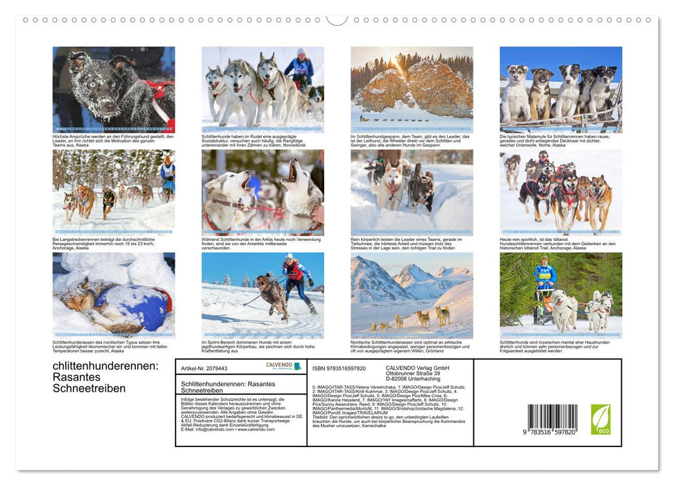 Schlittenhunderennen: Rasantes Schneetreiben (CALVENDO Premium Wandkalender 2026)