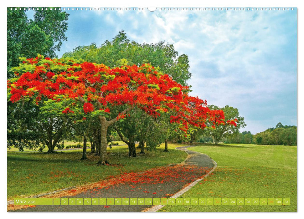 Einladung zum Golf (CALVENDO Premium Wandkalender 2026)