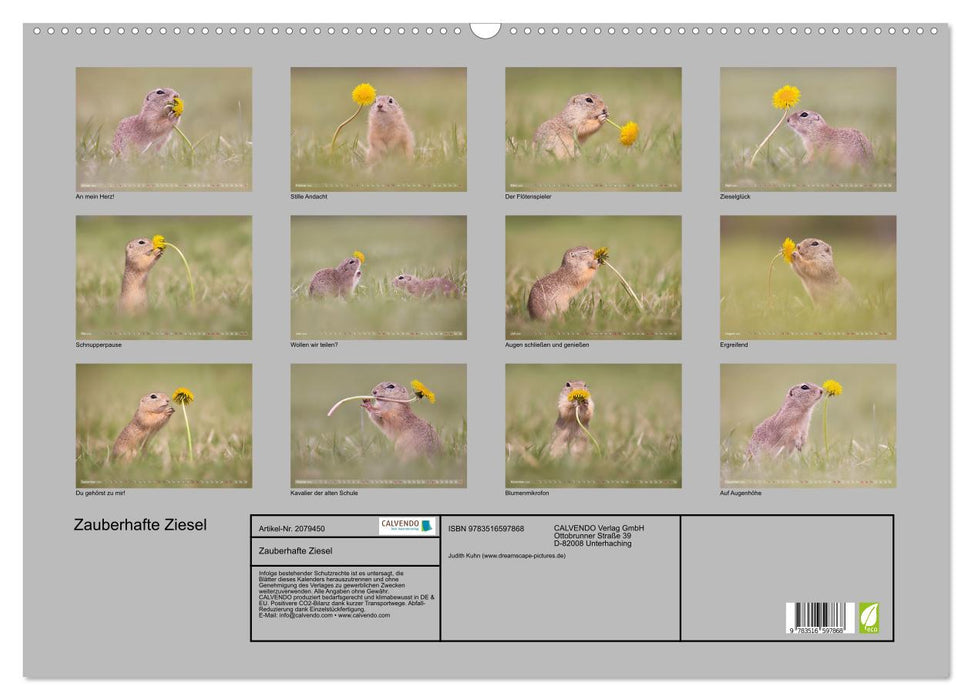 Zauberhafte Ziesel (CALVENDO Wandkalender 2026)