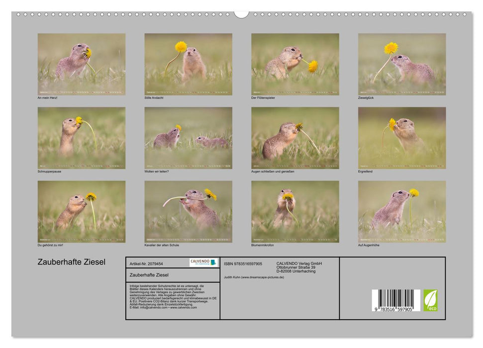 Zauberhafte Ziesel (CALVENDO Premium Wandkalender 2026)