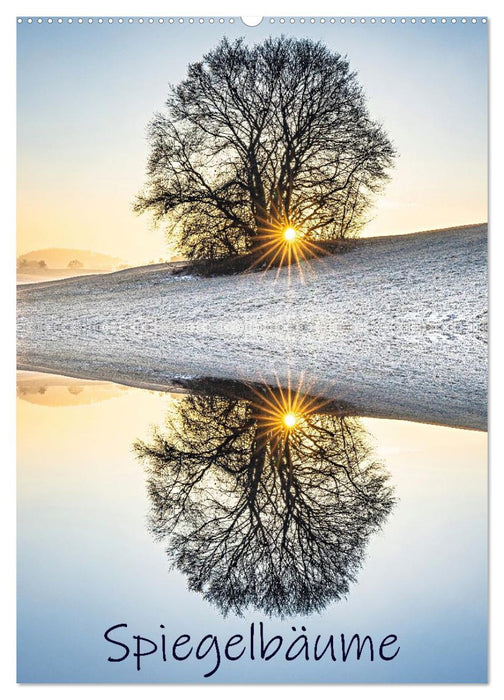 Spiegelbäume (CALVENDO Wandkalender 2026)