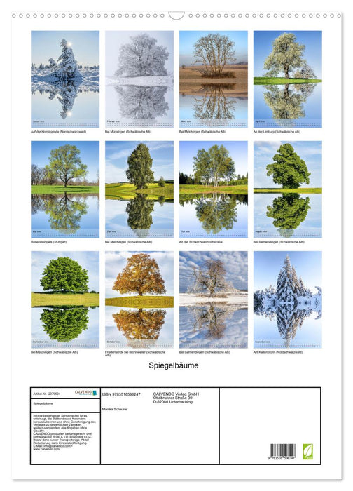 Spiegelbäume (CALVENDO Wandkalender 2026)