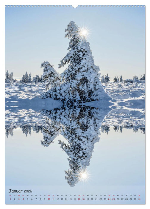 Spiegelbäume (CALVENDO Wandkalender 2026)