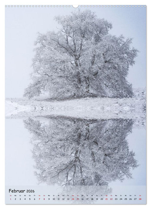 Spiegelbäume (CALVENDO Wandkalender 2026)