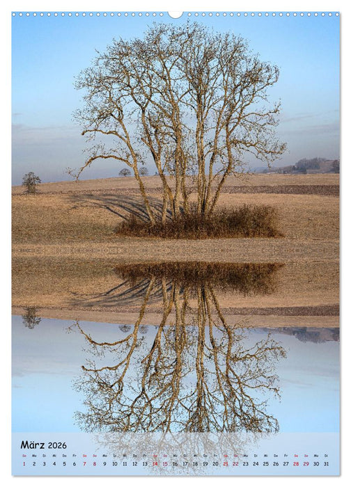 Spiegelbäume (CALVENDO Wandkalender 2026)