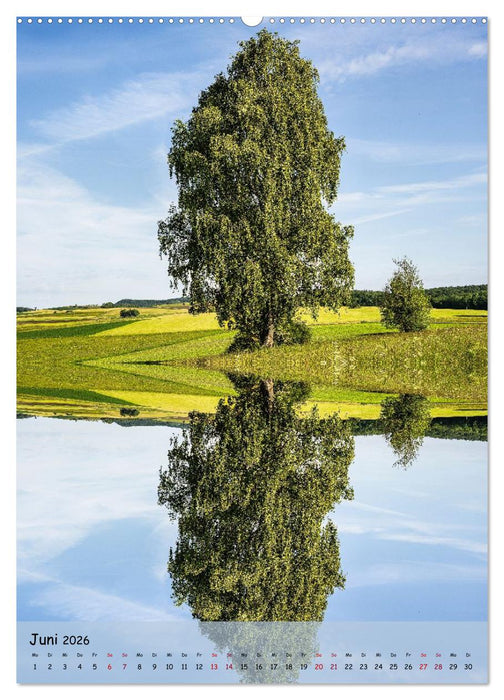 Spiegelbäume (CALVENDO Wandkalender 2026)