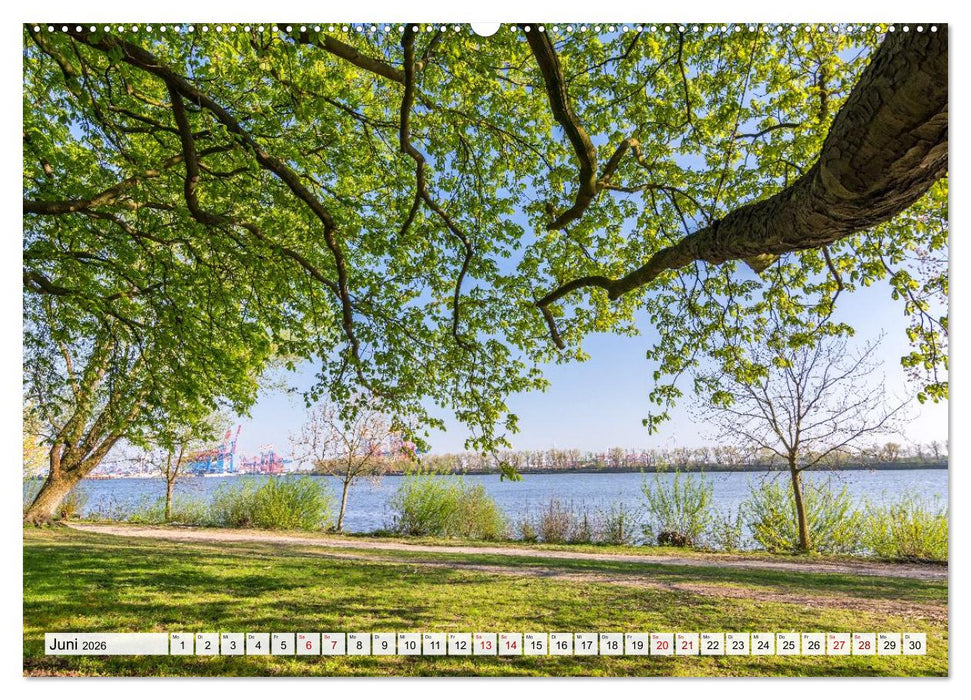 Moin Hamburg - Durch das Jahr an der Elbe (CALVENDO Premium Wandkalender 2026)