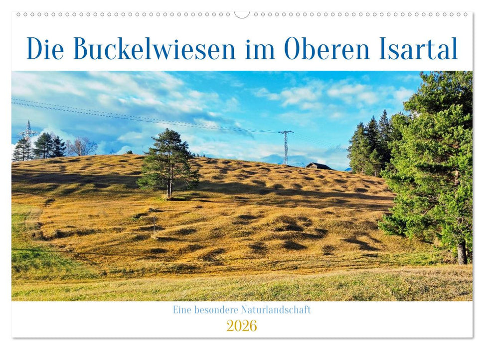 Die Buckelwiesen im Oberen Isartal (CALVENDO Wandkalender 2026)