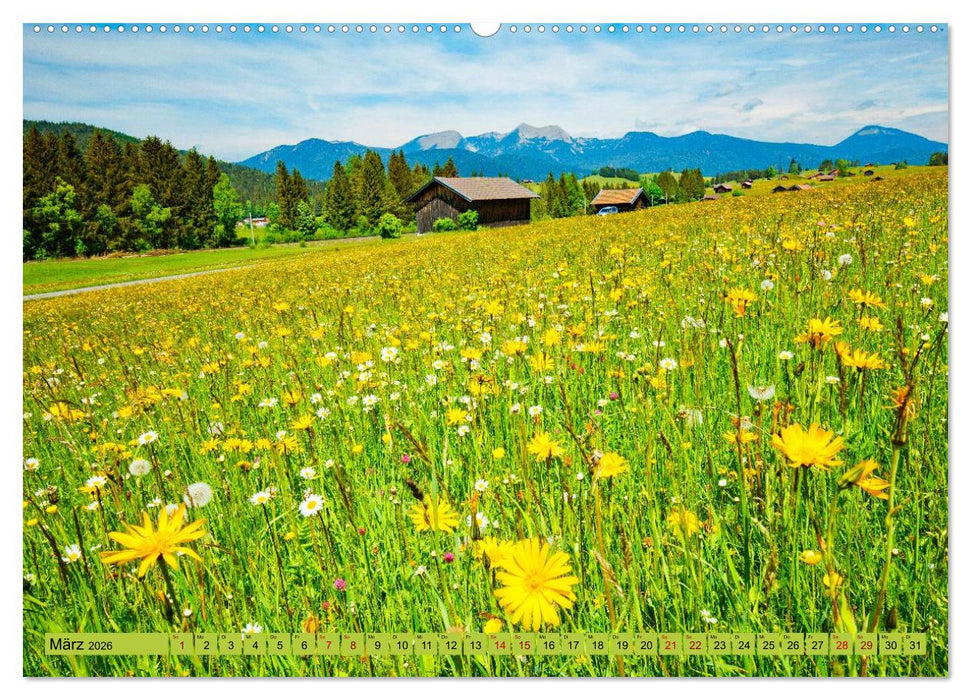 Die Buckelwiesen im Oberen Isartal (CALVENDO Wandkalender 2026)