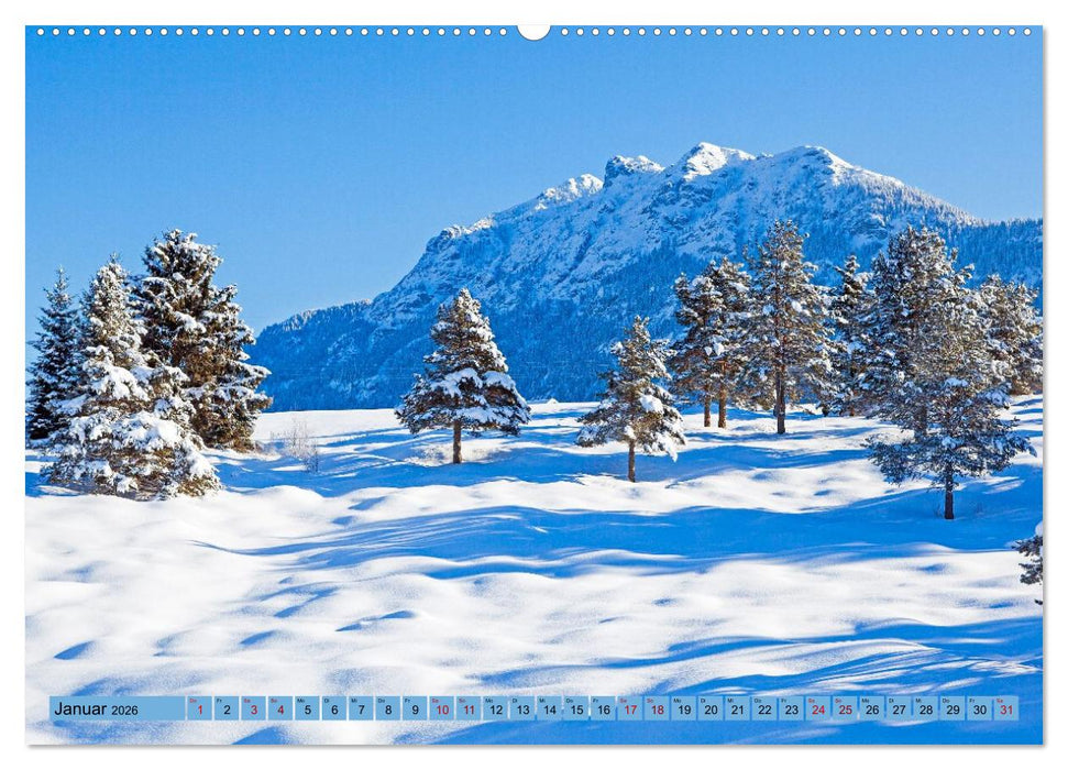 Die Buckelwiesen im Oberen Isartal (CALVENDO Premium Wandkalender 2026)