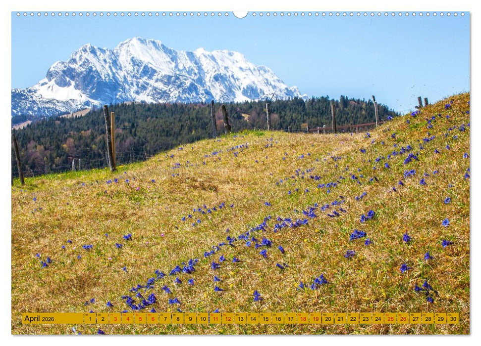 Die Buckelwiesen im Oberen Isartal (CALVENDO Premium Wandkalender 2026)