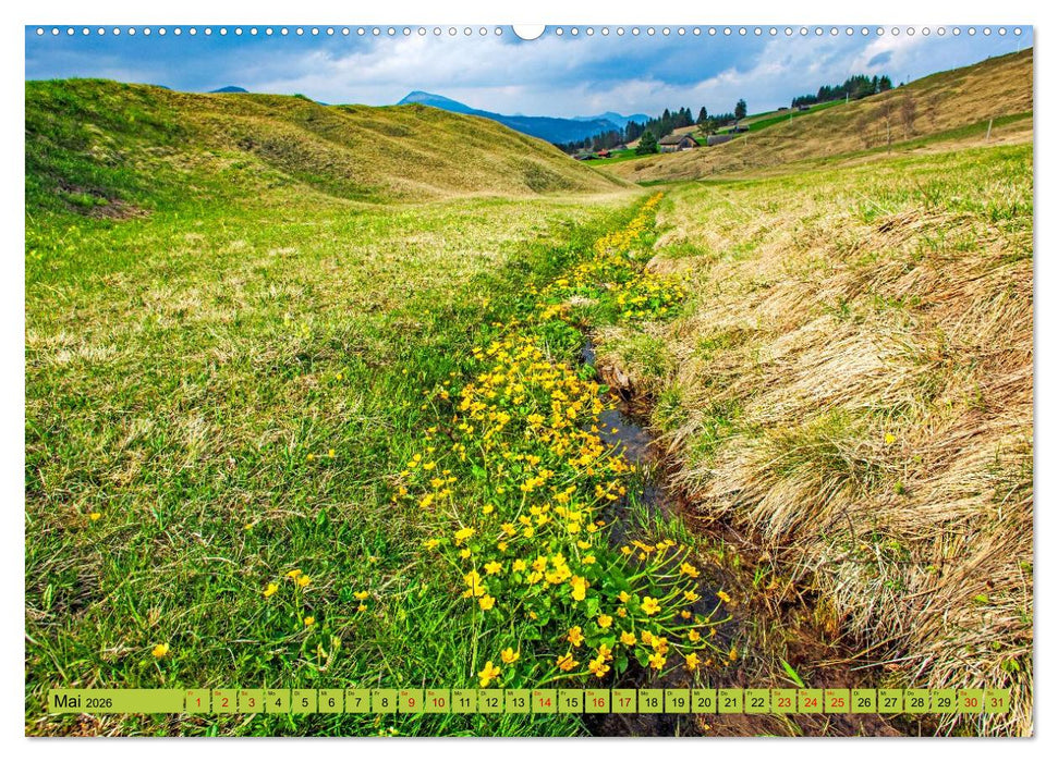 Die Buckelwiesen im Oberen Isartal (CALVENDO Premium Wandkalender 2026)