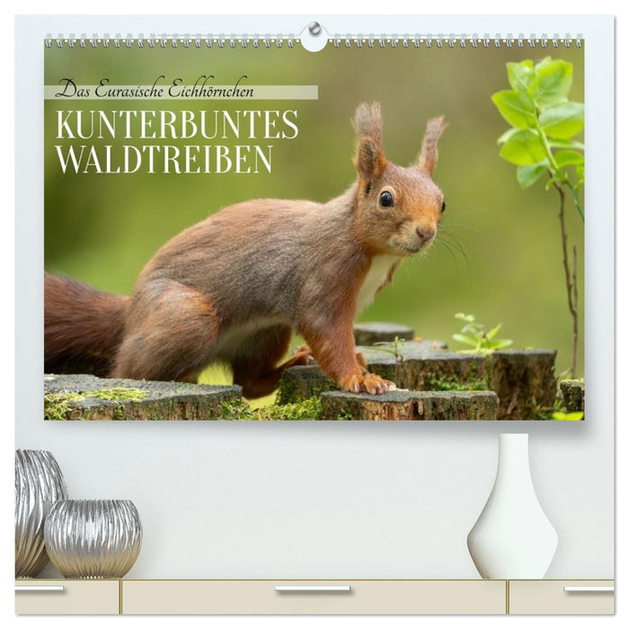 Das Eurasische Eichhörnchen - Kunterbuntes Waldtreiben (CALVENDO Premium Wandkalender 2026)