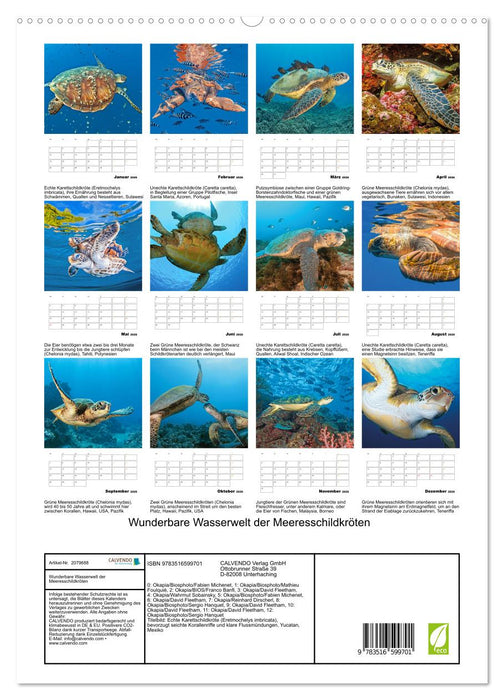 Wunderbare Wasserwelt der Meeresschildkröten (CALVENDO Premium Wandkalender 2026)