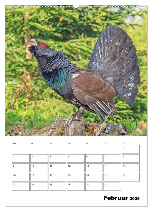 Wilde Tiere: Zuhause in Wald und Flur (CALVENDO Premium Wandkalender 2026)